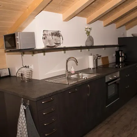 公寓 Haus Im Moos - Chiemgau Karte 因泽尔